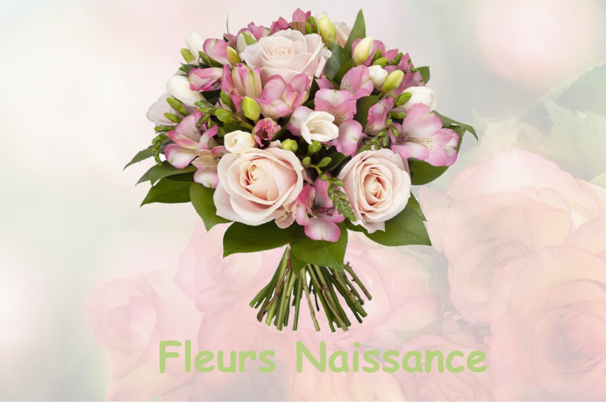 fleurs naissance ROCHEFORT-SUR-NENON