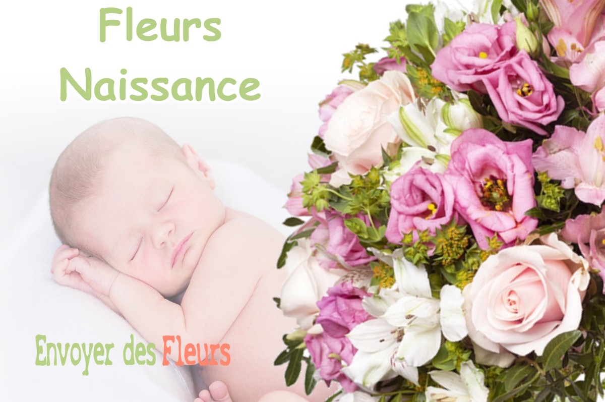 lIVRAISON FLEURS NAISSANCE à ROCHEFORT-SUR-NENON